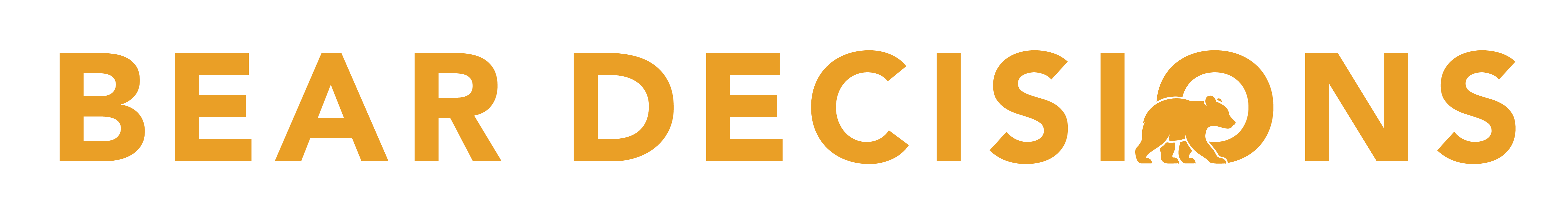 Bear Decisions Logo